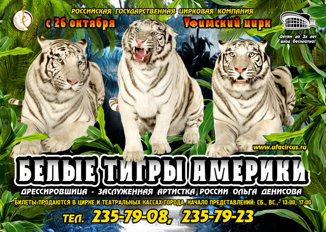 «Белые тигры Америки» 